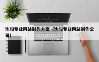 玉环沈阳专业网站制作方案（沈阳专业网站制作公司）